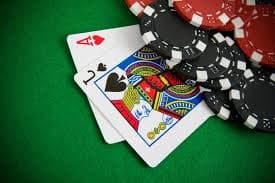 y19 Sportsbook